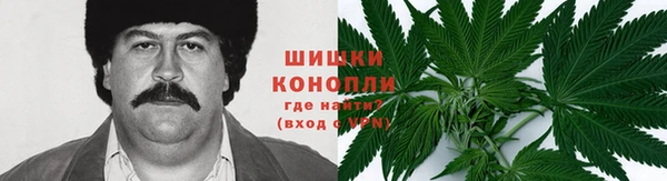гидра Аркадак