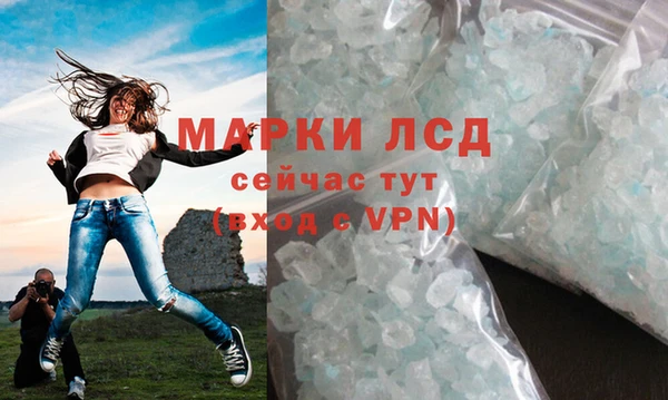 гидра Аркадак