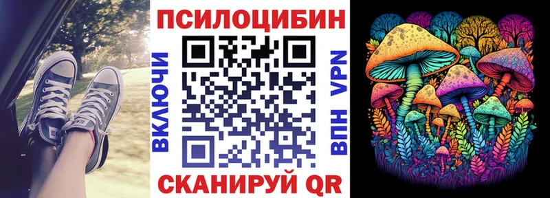 дарнет шоп  Курган  Псилоцибиновые грибы Magic Shrooms 