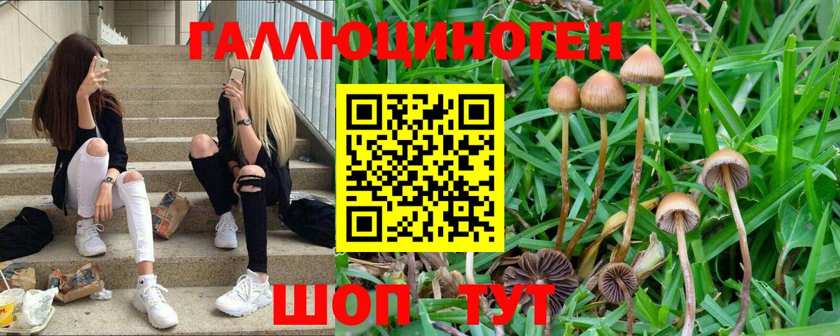 Галлюциногенные грибы GOLDEN TEACHER  Вход с VPN  Курган  Псилоцибиновые грибы Magic Shrooms 