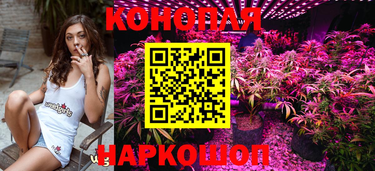 Курган  Бошки Шишки SATIVA & INDICA  Вход с VPN  Конопля марихуана 